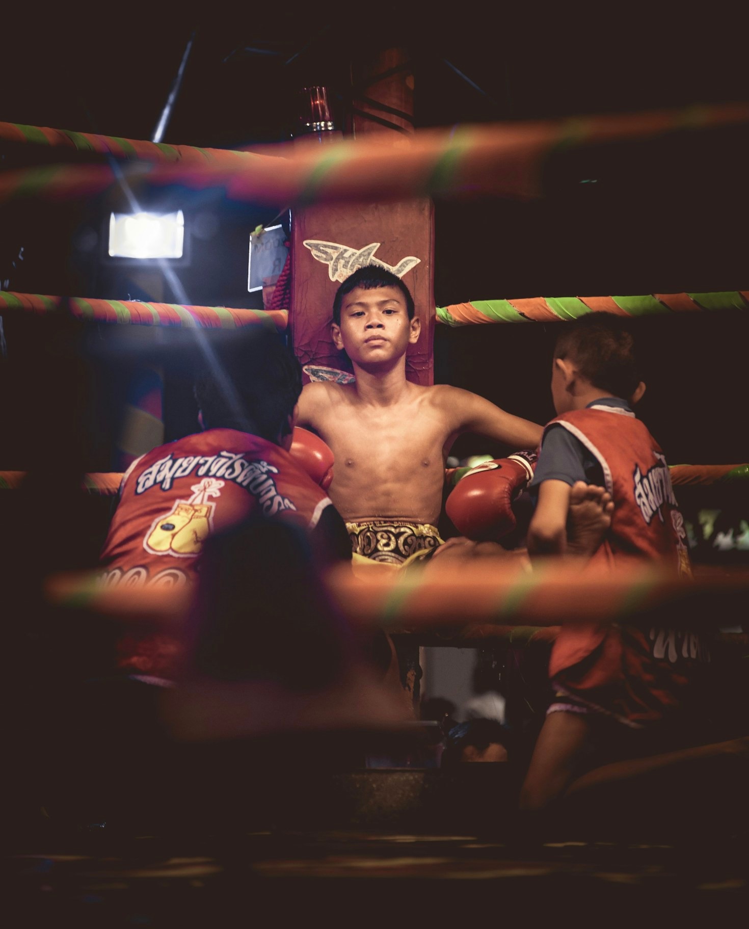 Como a disciplina define um campeão